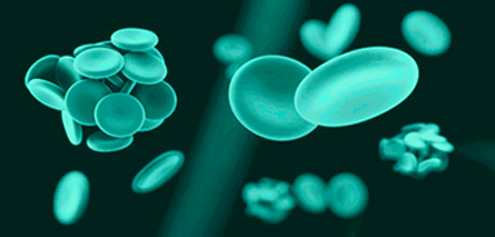 Biosimilar de Enoxaparina