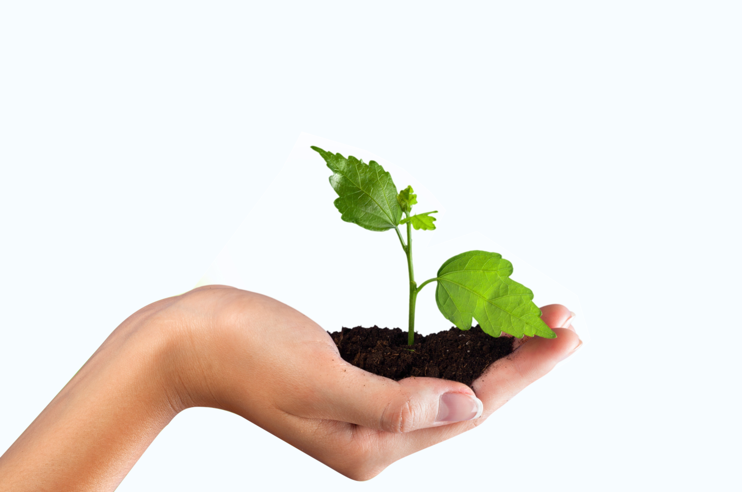 Nuestro Compromiso con el Medio Ambiente